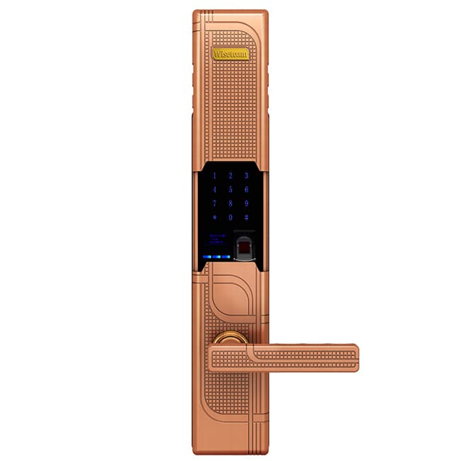 威士迪智能鎖 電子密碼大防盜門半導體鎖