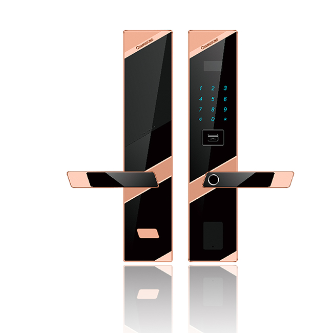 長虹智能鎖 W18家用防盜門鎖智能鎖密碼鎖