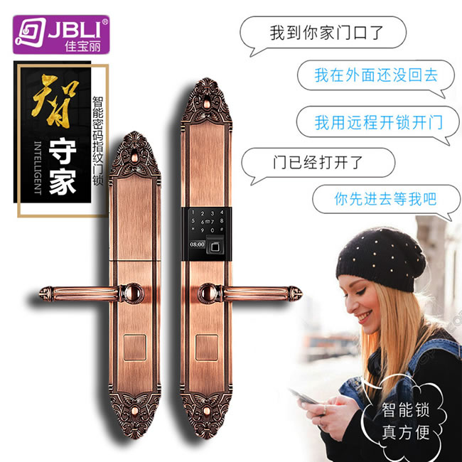 佳寶麗智能鎖 歐式別墅門鎖大門電子鎖