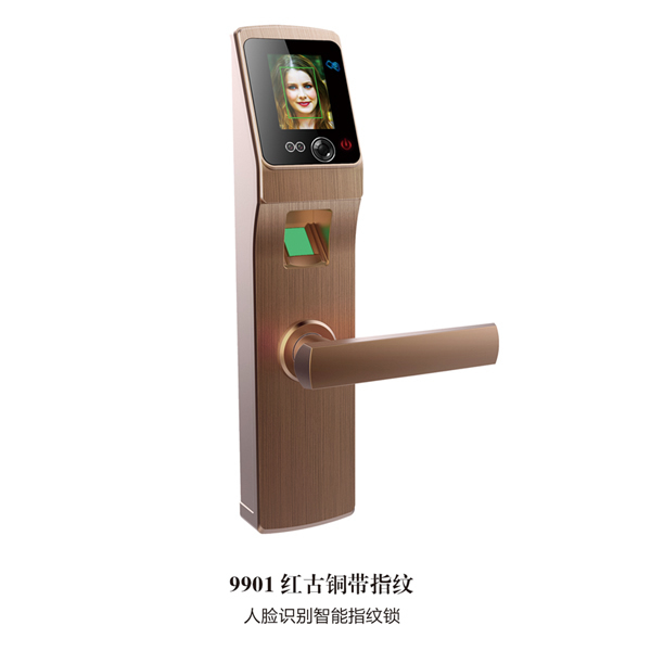 多麥福智能鎖 9901人臉識(shí)別智能指紋鎖