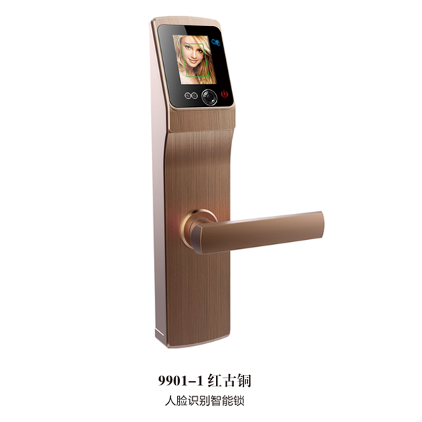 多麥福智能鎖 9901-1人臉識(shí)別智能鎖
