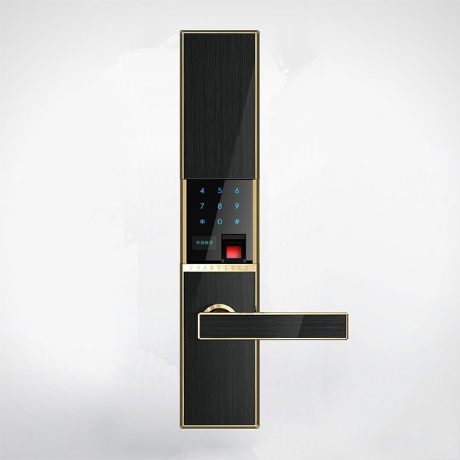 D3滑蓋智能指紋鎖 家用電子門鎖