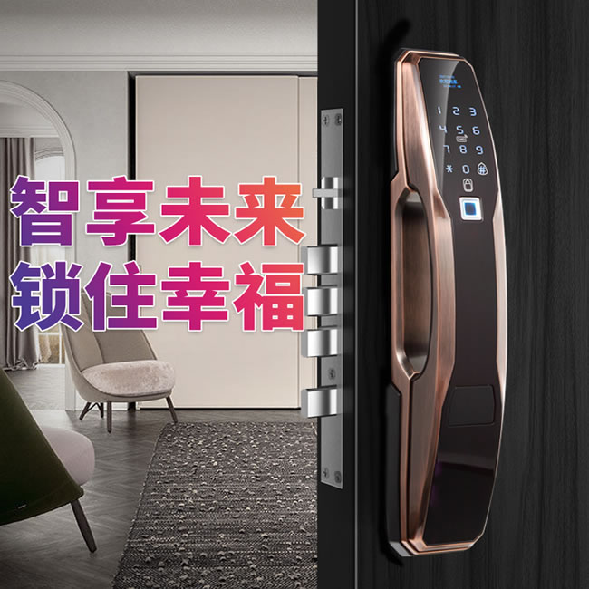 艾爾邁智能鎖 家用防盜門遠程大門電子密碼鎖