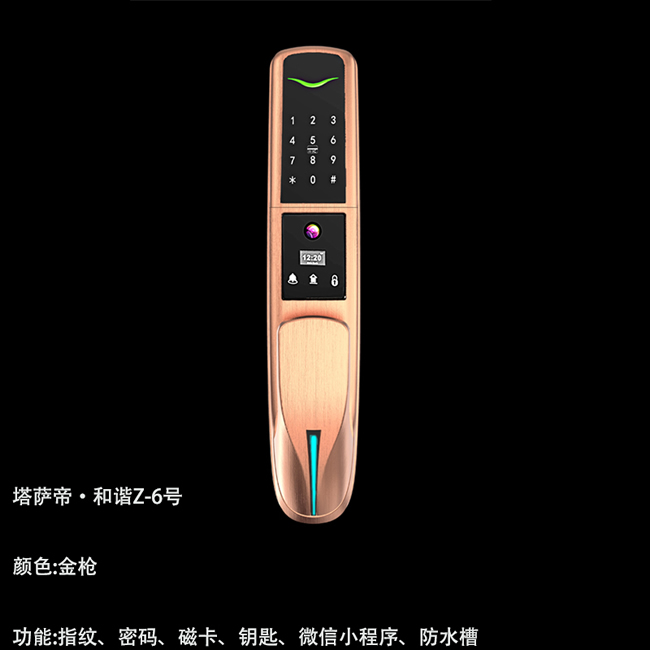 塔薩帝智能鎖 和諧Z-6號全自動推拉式智能鎖
