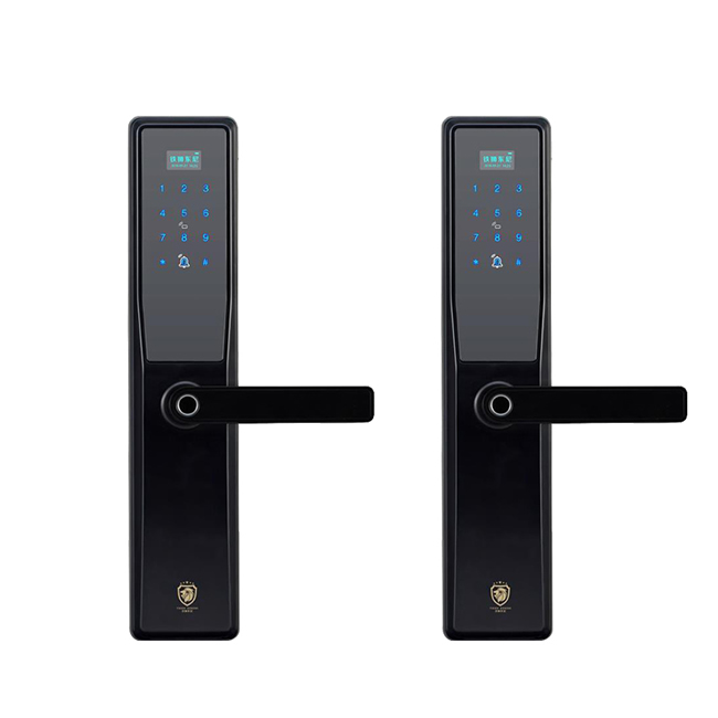 鐵獅東尼智能鎖 TS-800雙曲面直板密碼鎖