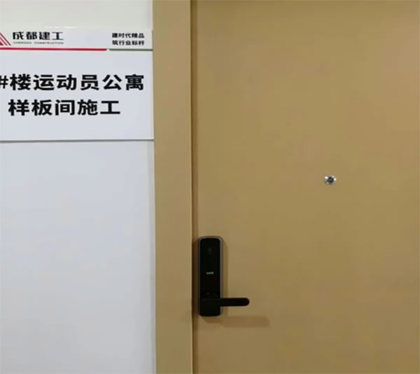 房地產(chǎn)智能鎖實(shí)力品牌楊格：國際精品智能門鎖工程彰顯實(shí)力！