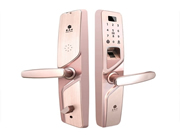 指紋鎖市場(chǎng)的未來(lái)發(fā)展趨勢(shì)