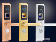 王力防盜門智能鎖：采用虛位密碼功能技術(shù)