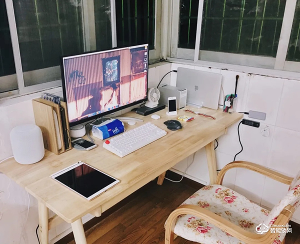 “單身經(jīng)濟(jì)”勢(shì)頭強(qiáng)勁，智能家居更受年輕人青睞