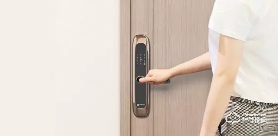 “單身經(jīng)濟(jì)”勢(shì)頭強(qiáng)勁，智能家居更受年輕人青睞