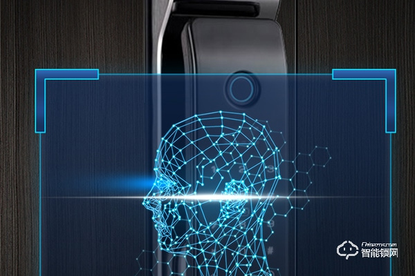 3d人臉識別智能鎖品牌