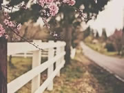 豪力士智能指紋鎖：任何一種事物都會有正反兩面