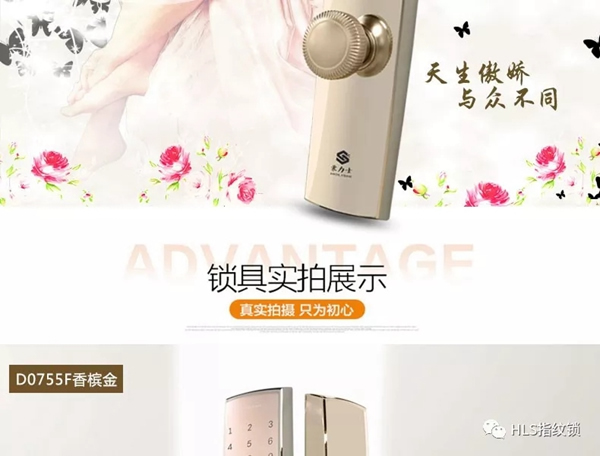豪力士D0755F-香檳金萬(wàn)能互換智能鎖向你奔來(lái)