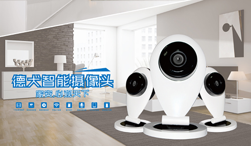 防賊防盜防老王，家庭安全靠德犬