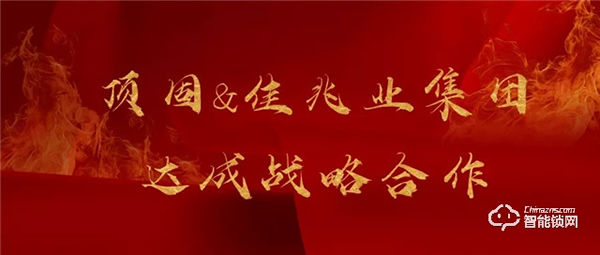 頂固8月精彩薈萃 | 行穩(wěn)致遠(yuǎn)，聚勢(shì)共贏！