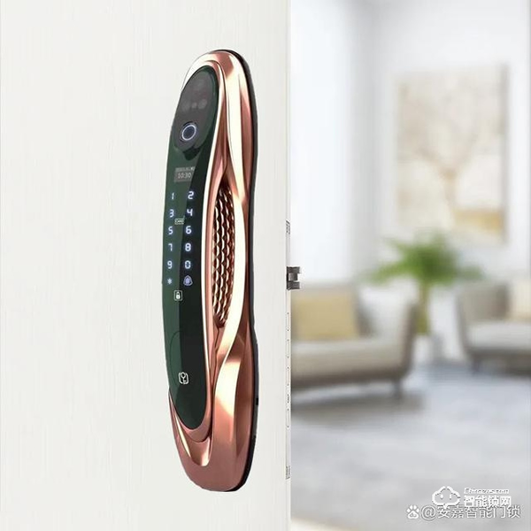 安嘉智能鎖‖“看臉”時代已到來,你家智能鎖開始刷臉了嗎? 安嘉智能鎖‖“看臉”時代已到來,你家智能鎖開始刷臉了嗎?