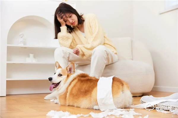 亞太天能‖“年輕”有花young，智能門如何煥發新機遇？