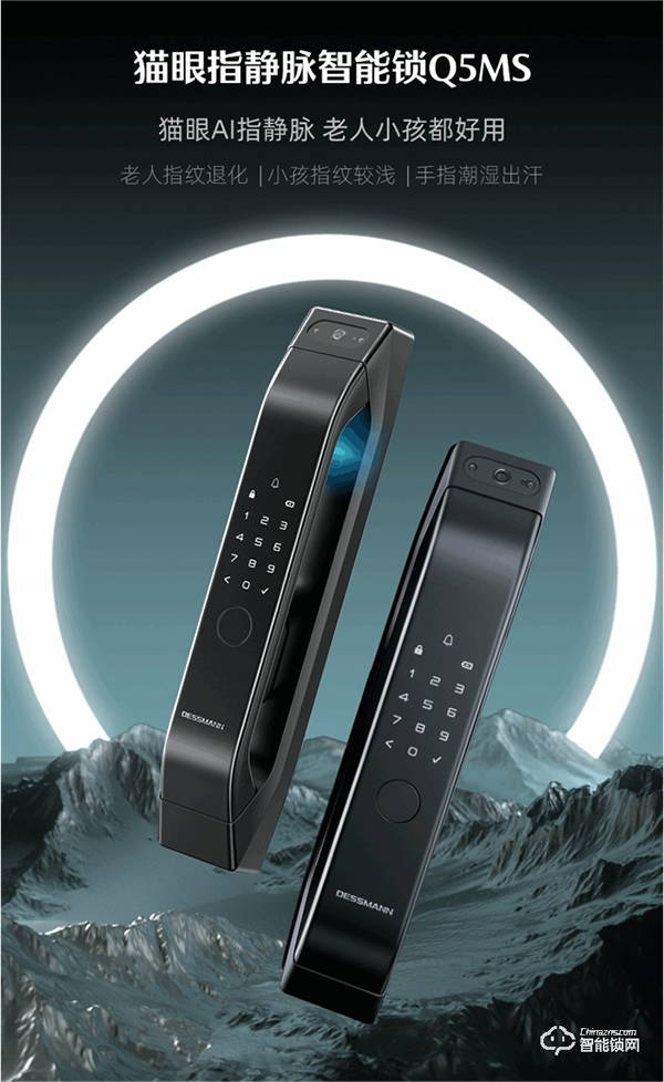 德施曼智能鎖｜智能鎖購買攻略來嘍 ~ 雙十一預售第一波，課代表搶先劇透！