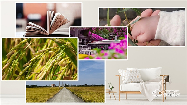 Gleewell格里維爾｜你發現了嗎？所有治愈的美好，都藏在生活的細節里