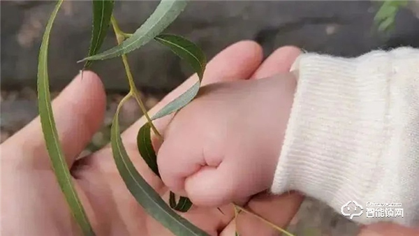 Gleewell格里維爾｜你發現了嗎？所有治愈的美好，都藏在生活的細節里