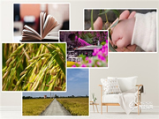 Gleewell格里維爾｜你發現了嗎？所有治愈的美好，都藏在生活的細節里