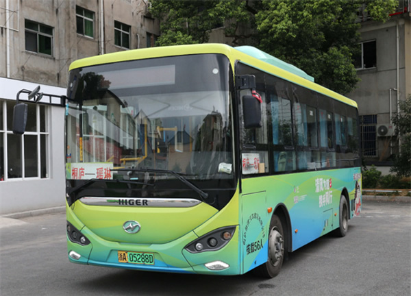 亞運會世界首創“數控草坪”火出圈，蘇州擁有同款黑科技！