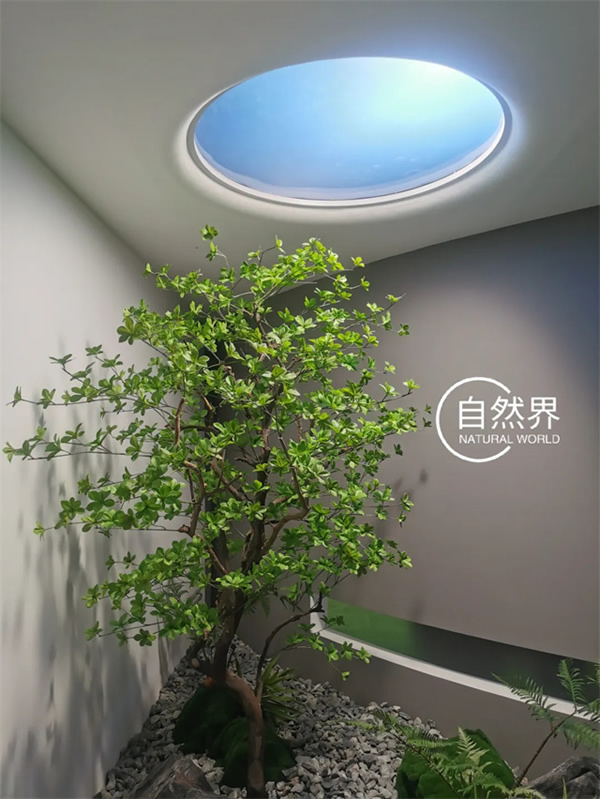 自然界太陽燈：點亮你的廚房與衛生間，模擬日升日落的奇妙之旅