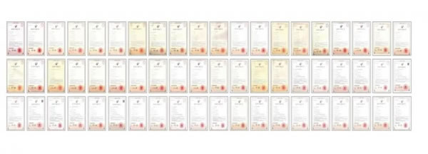 王力遙感智能鎖在＊＊＊＊驚艷亮相，憑借科技創新火出圈_5