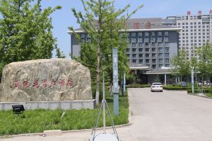 2017山東木材流通協會