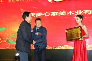 2017重慶木門協會十周年