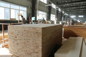 2018參觀金皇朝木門