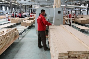 大自然木門生產車間